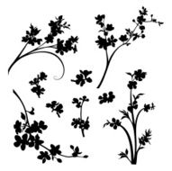 Blossomed branches and flower heads