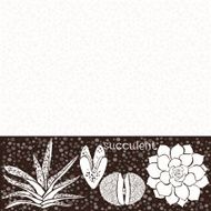 Background with succulents Floristic composition