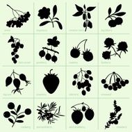 Berries N8