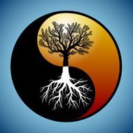 Tree and it&#039;s roots in yin yang symbol