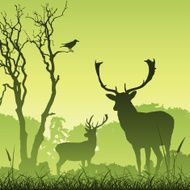 Male Stag Deer N5