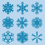 Snowflake icon Winter theme snowflakes of different shapes N22