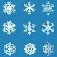 Snowflake icon Winter theme snowflakes of different shapes N23