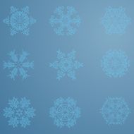 Snowflake icon Winter theme snowflakes of different shapes N24