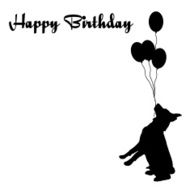 happy birthday N589