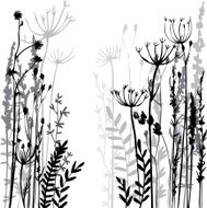 Silhouettes of flowers and grass N50