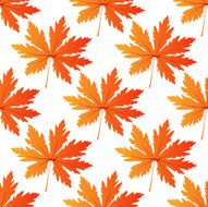 Pretty colorful autumn leaf seamless pattern