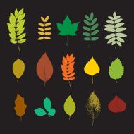 Leaf set
