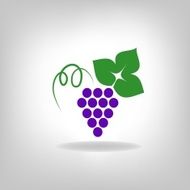 silhouette of grapes N2
