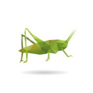 Grasshopper abstract isolated on a white backgrounds vector illustration