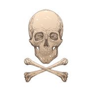 Skull and bones hand drawn vector illustration N2