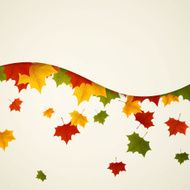 Vector autumn leaves N14