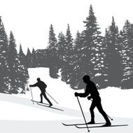 CCskiing