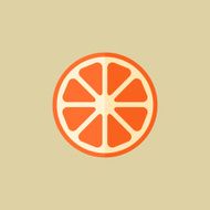 Orange Food Flat Icon