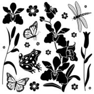 orchid design elements