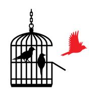 Birds in cage red one flying away - VECTOR
