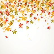 vector autumn background N9