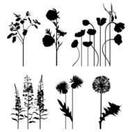 Plant&#039;s set