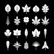 Set icons of leaf