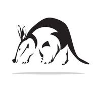 aardvark