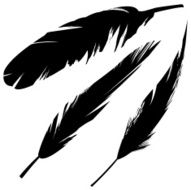 Grunge bird feathers