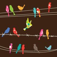 Birds on wires N5