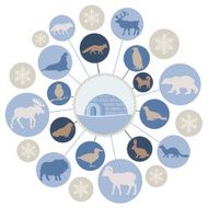 Arctic Animals Montage