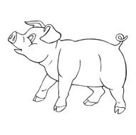 Cute vector pig