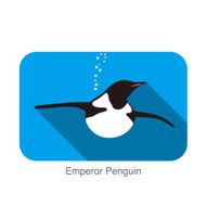 Emperor Penguin Penguin seed seriers N12