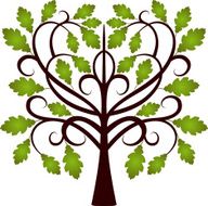 Decorative oak