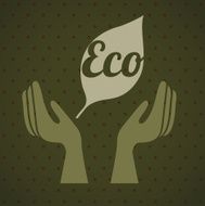 eco design N13