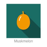 Muskmelon food and drink flat icon series N2