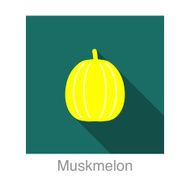 Muskmelon food and drink flat icon series N3