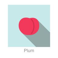 Plum food and drink flat icon series