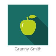Granny Smith apple food and drink flat icon series