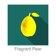 Fragrant pear food and drink flat icon series N2