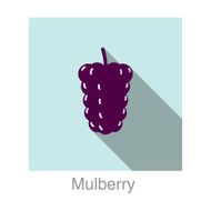 Mulberry food and drink flat icon series