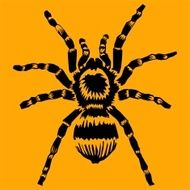 tarantula N3