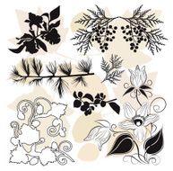 Plants set VI