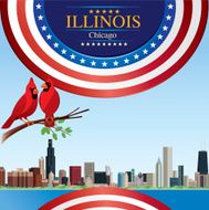 Illinois Chicago N2