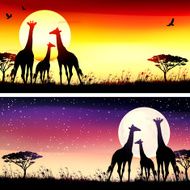 African Giraffes silhouettes safari set N2