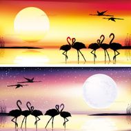 Flamingos silhouettes set N2