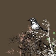 Sparrow on brown