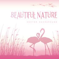 Background with Pink Flamingos N2