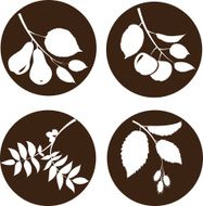 Branches with fruit