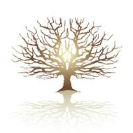 Symmetree
