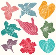 Set of vector tropical flowers
