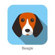 Beagle dog face portrait flat icon design