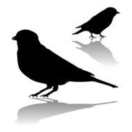 Bird Silhouettes N8