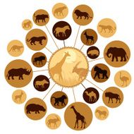 African Animals Montage